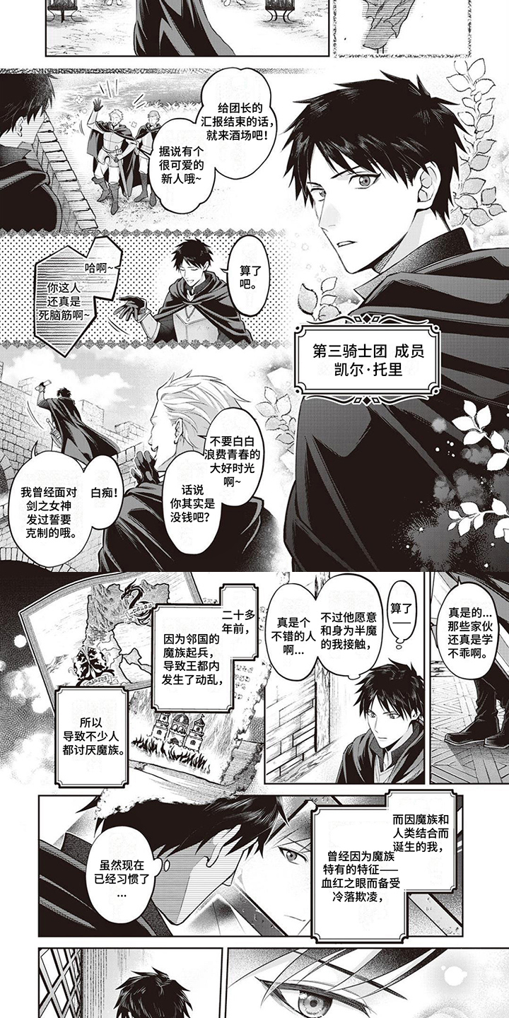 第1章：半魔族3