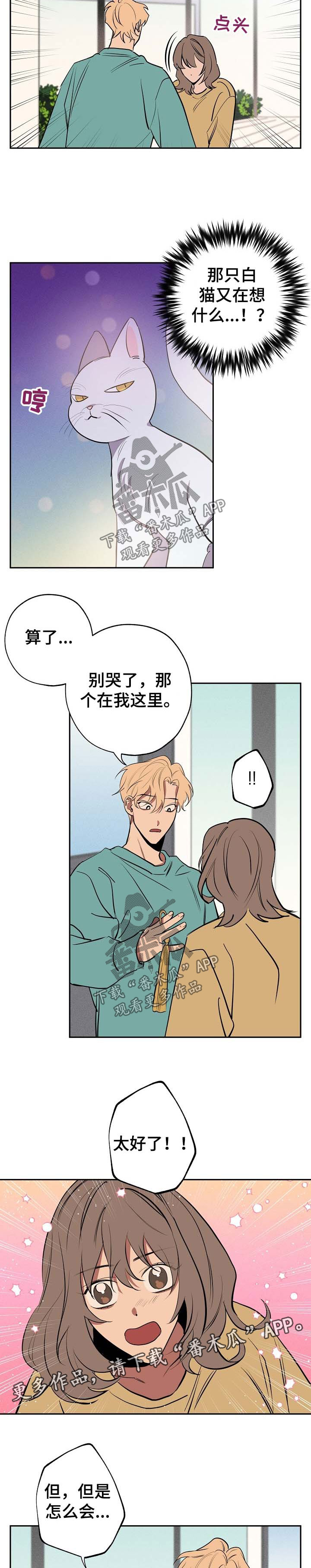 记忆规律与遗忘规律漫画,第54章：坦白5图