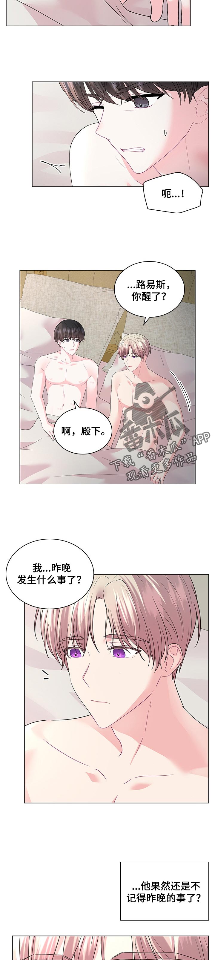 皇室血脉动漫全集免费观看漫画,第99章：【番外】皇太子的命令2图