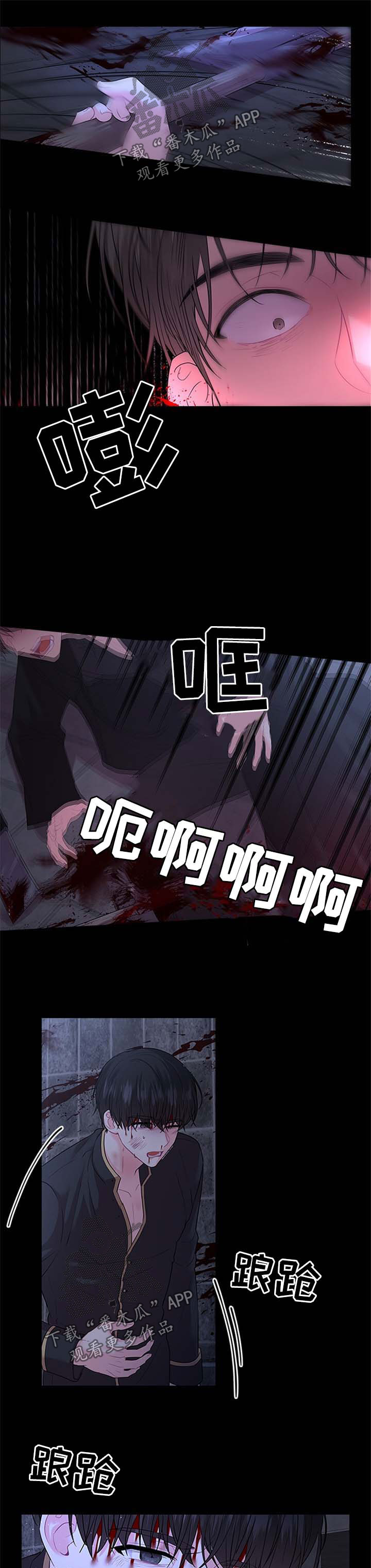 皇室血脉漫画在线阅读漫画,第74章：壮观1图