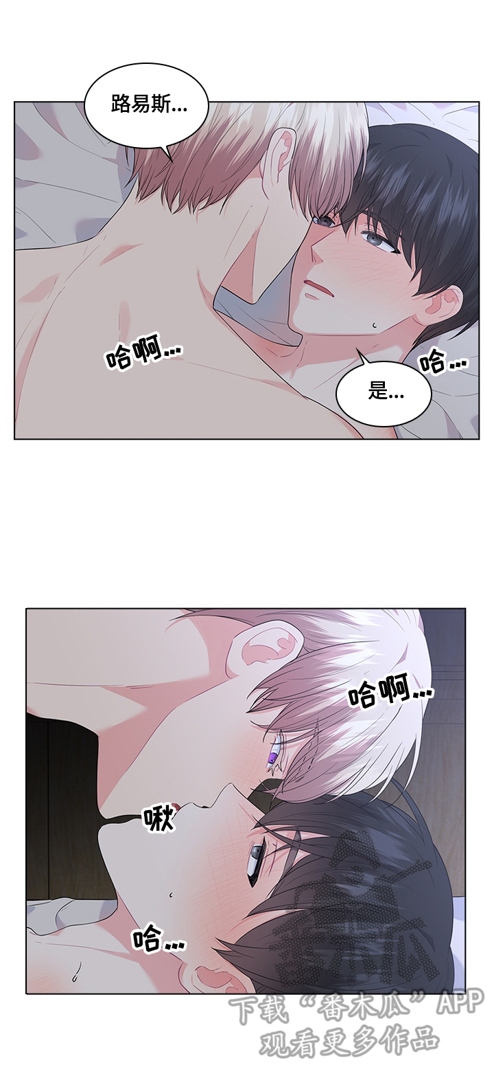 皇室血脉动漫全集免费观看漫画,第45章：放松2图