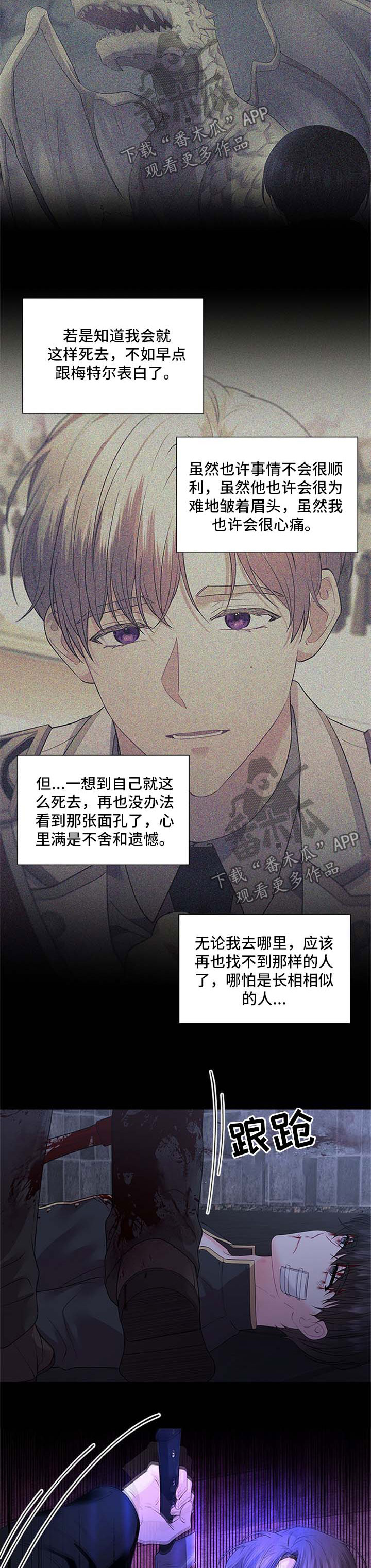 皇室血脉漫画在线阅读漫画,第74章：壮观5图