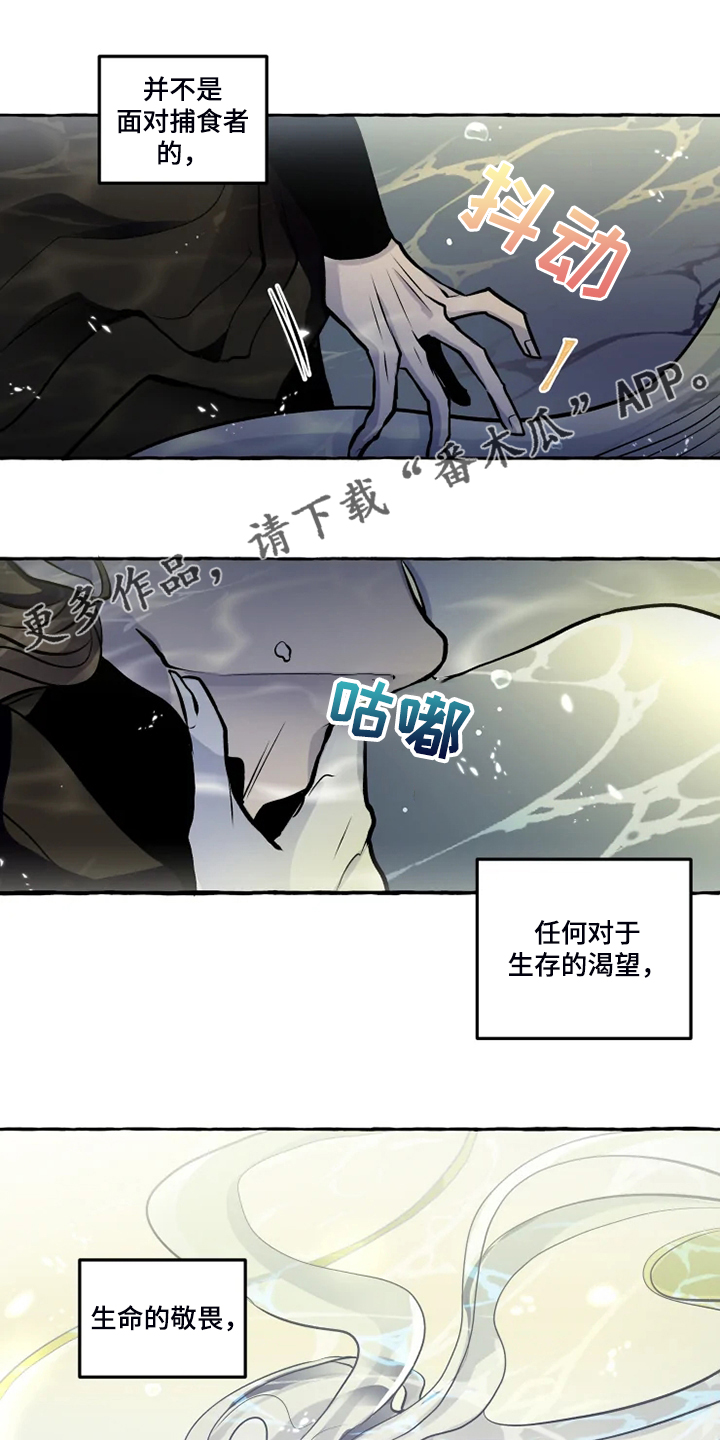 神见作品漫画,第40章：生命的敬畏1图