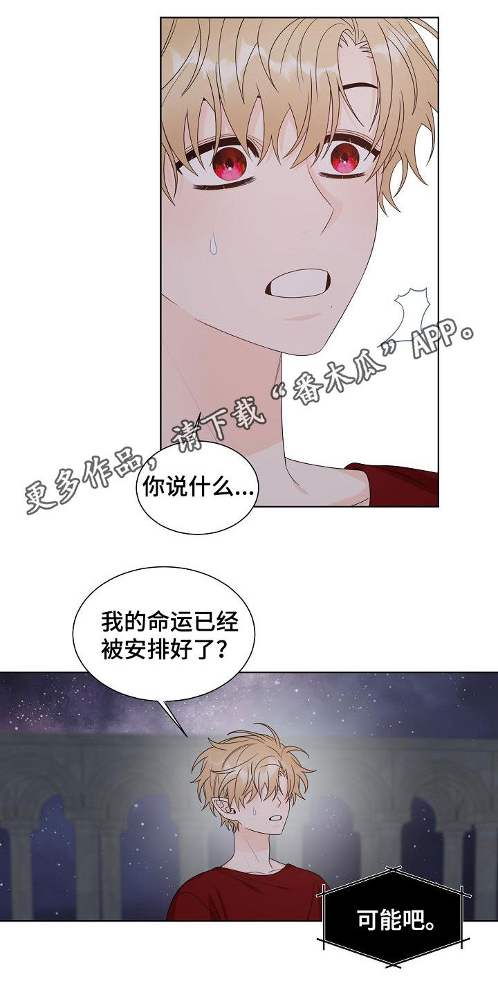 傲娇小恶魔软萌小天使漫画,第44章：不只是朋友1图
