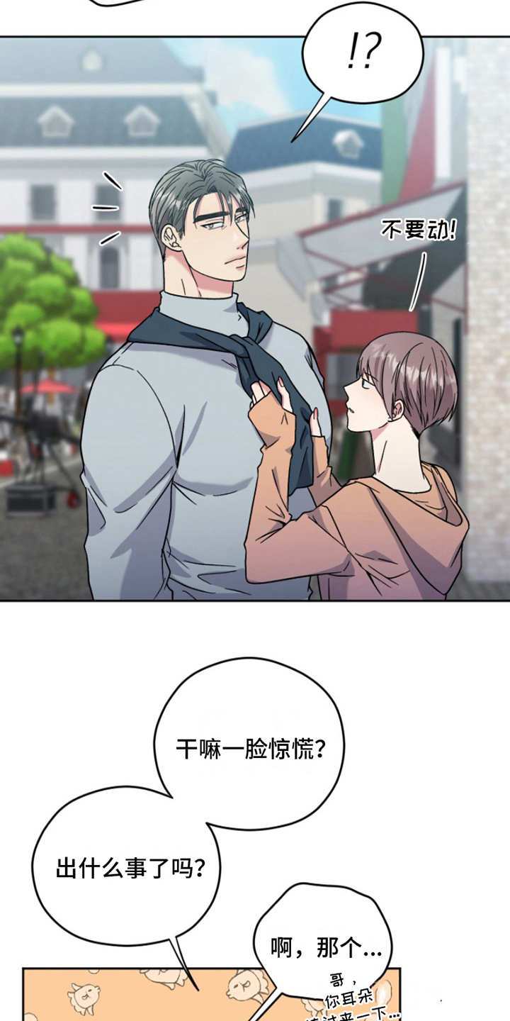 第6章：结婚狂想曲：建议4