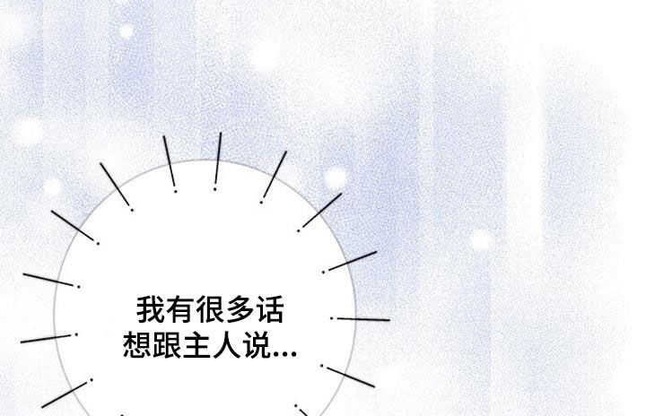 霸总训教漫画,第62章：逃避4图