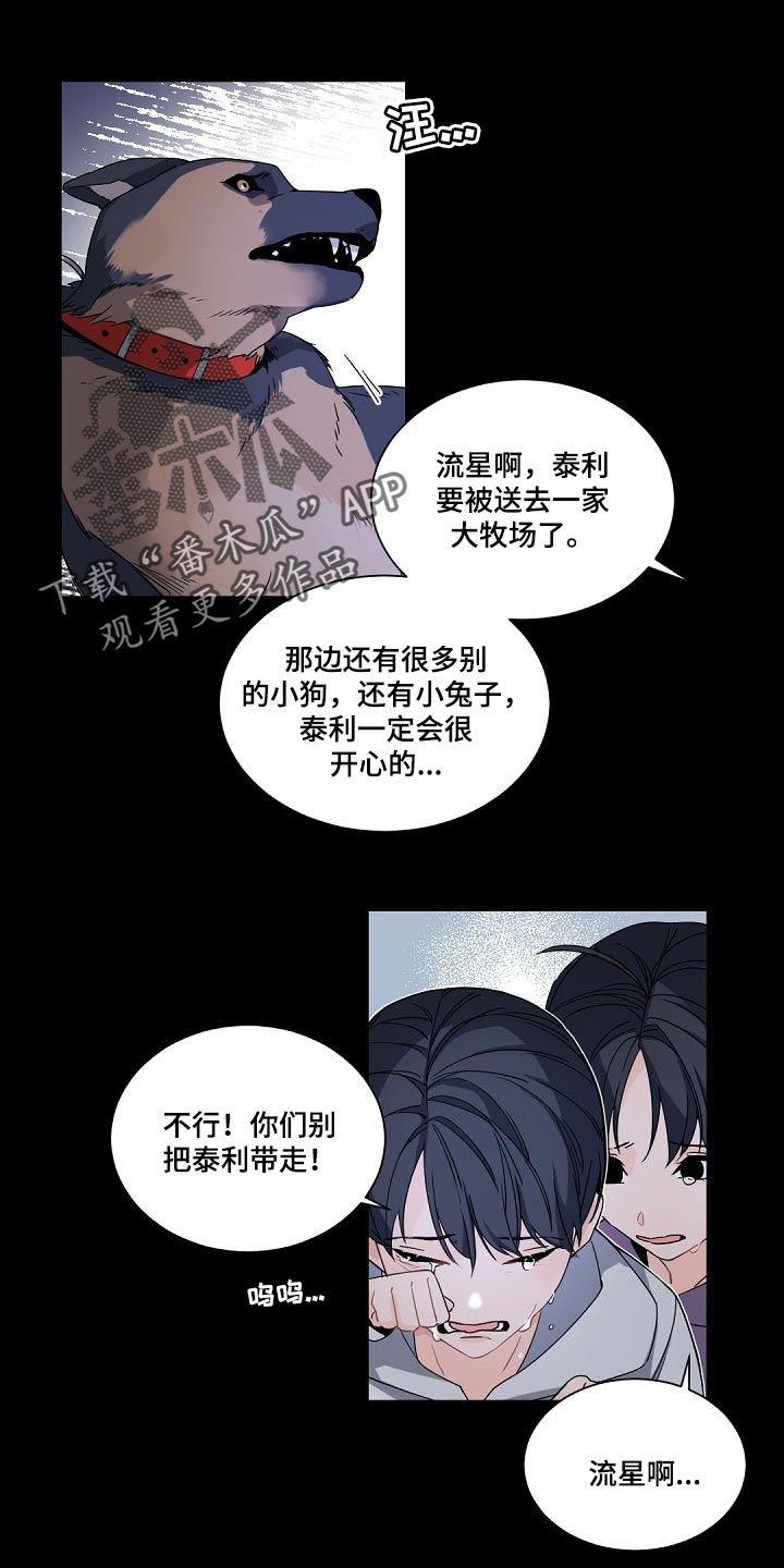老板的宝贝狐狸角色分析漫画,第101章：【第二季】发烧1图