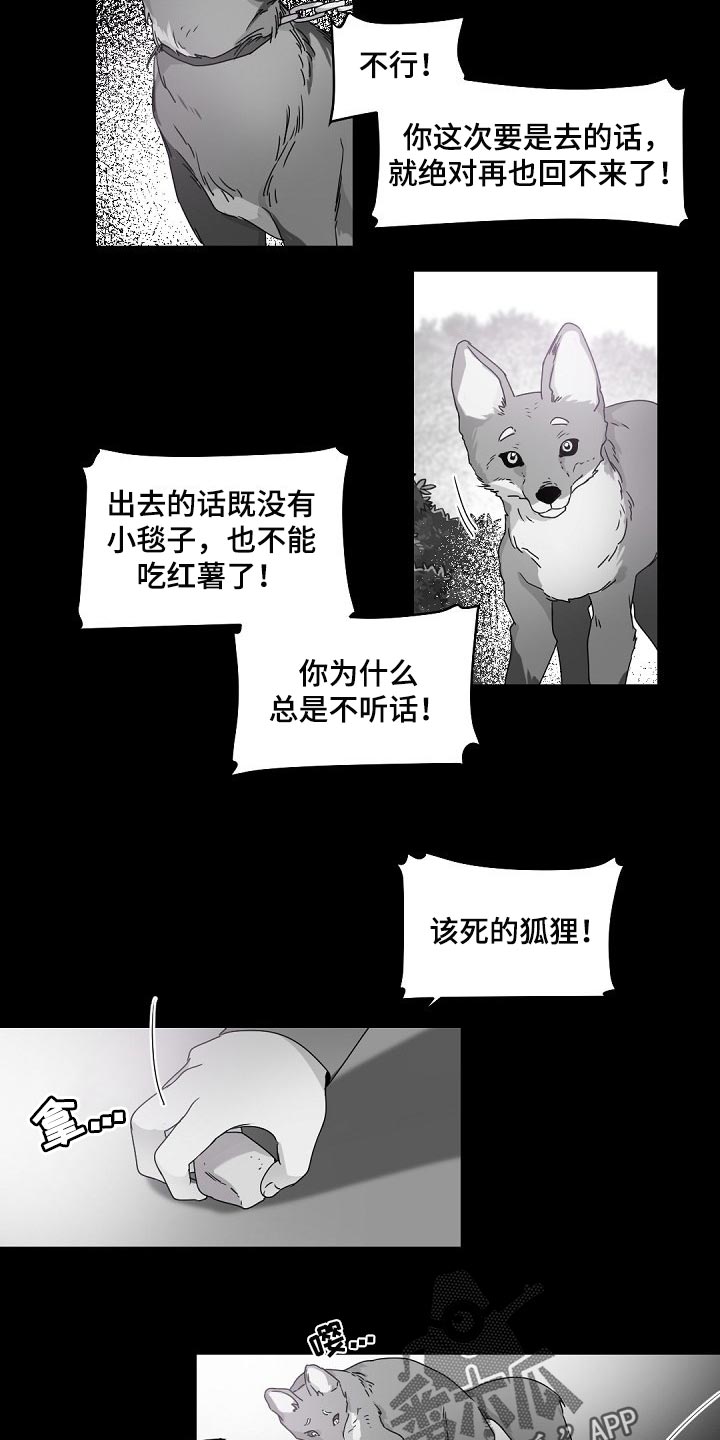 老板的宝贝狐狸角色分析漫画,第71章：不懂得害羞的人3图