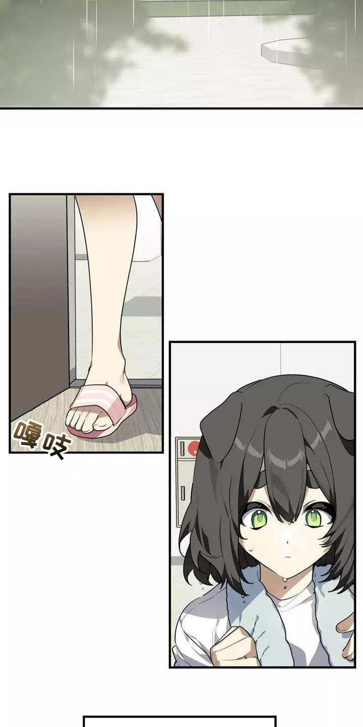 动物笑话电影网2025在线看漫画,第36章：我是真心的3图