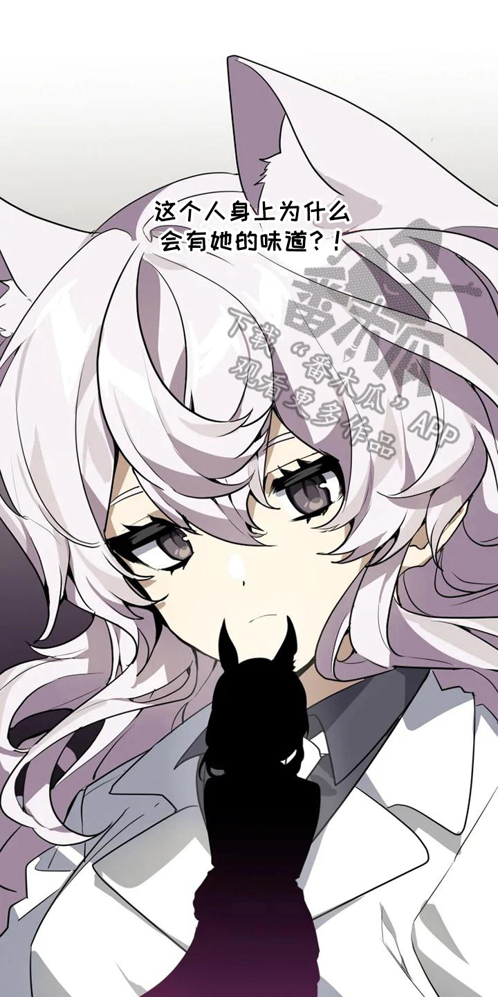 动物笑话电影网2025在线看漫画,第6章：带路1图