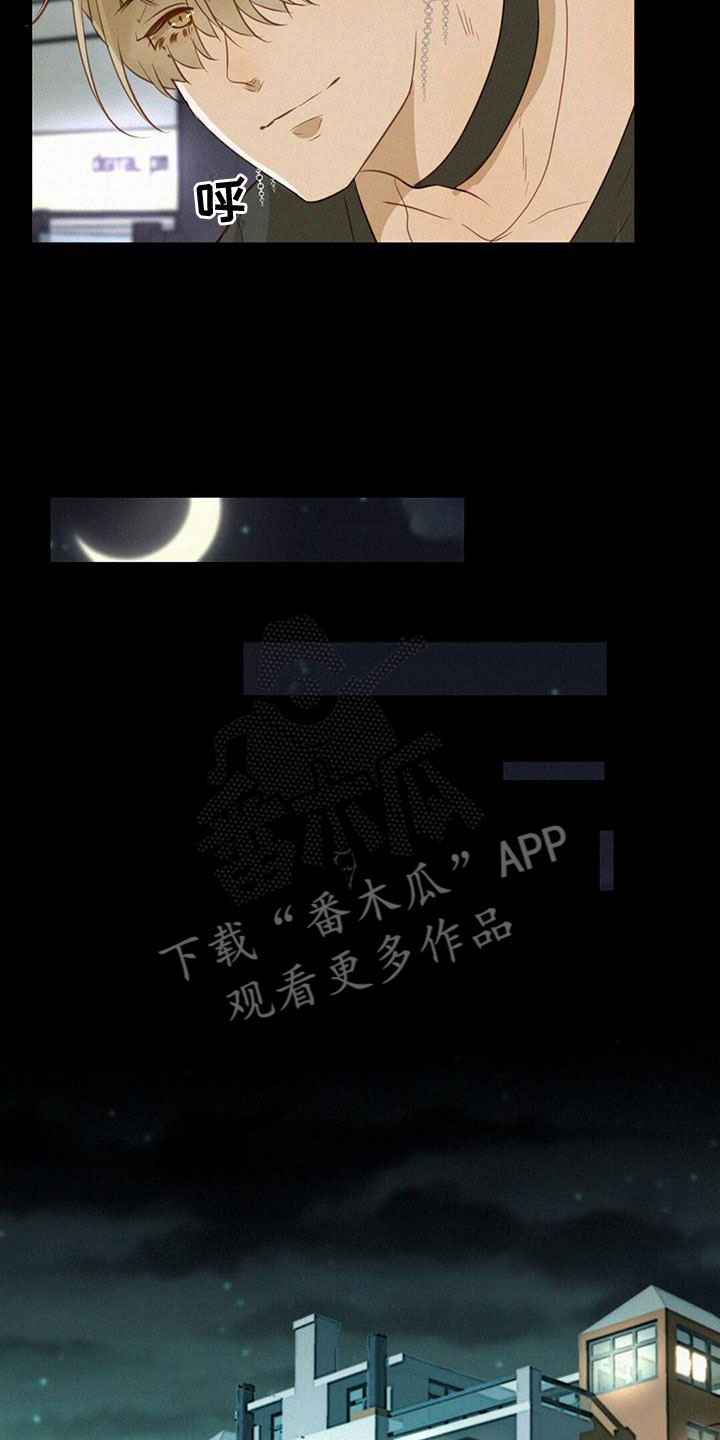 虚实交错录电影免费看漫画,第13章：醉酒5图