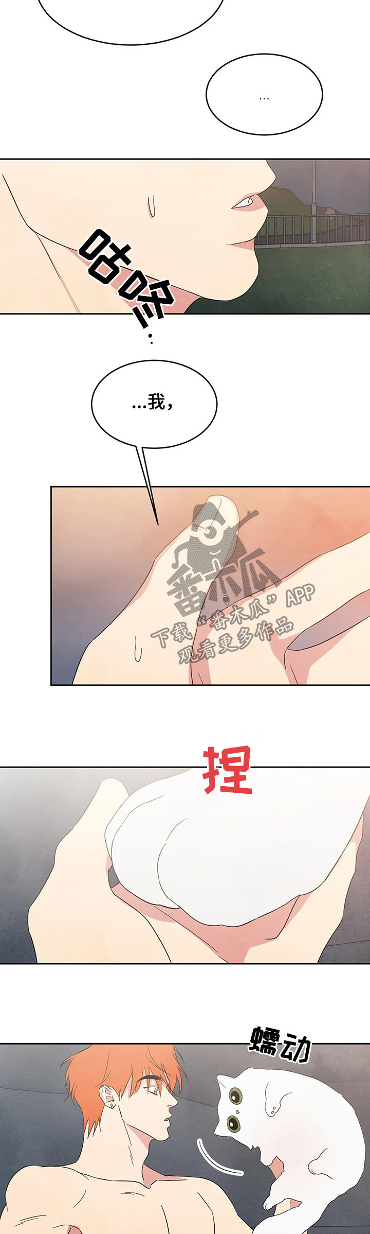 特别特别喜欢他漫画,第25章：坦诚一点5图