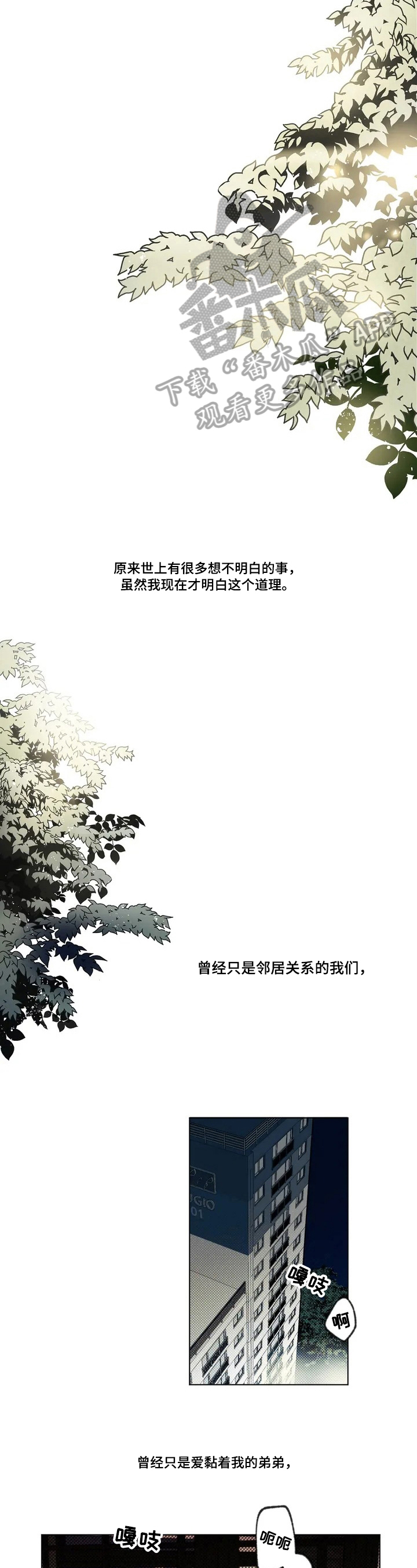 糟糕的夜吻漫画漫画,第52章：爱情的凝视：关系2图