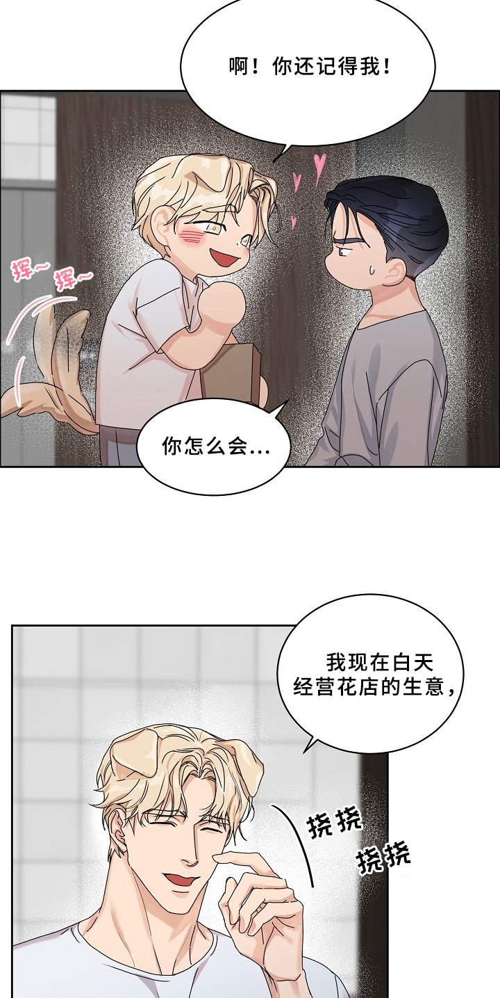 糟糕的夜吻漫画免费阅读漫画,第69章：请给我饵料：告知4图