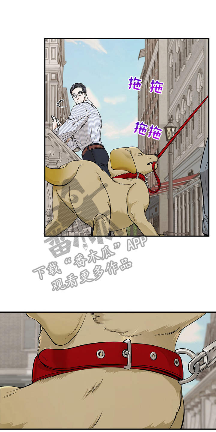 糟糕的夜吻漫画免费未删减在线观看漫画,第78章：有效的关系：匹配伴侣5图