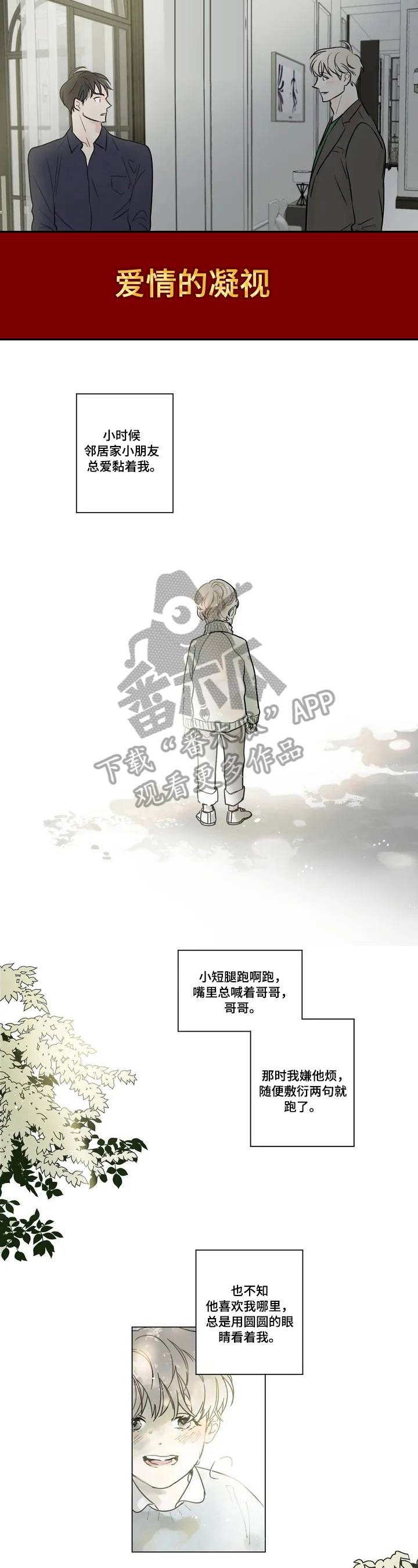 糟糕的夜吻漫画漫画,第52章：爱情的凝视：关系1图