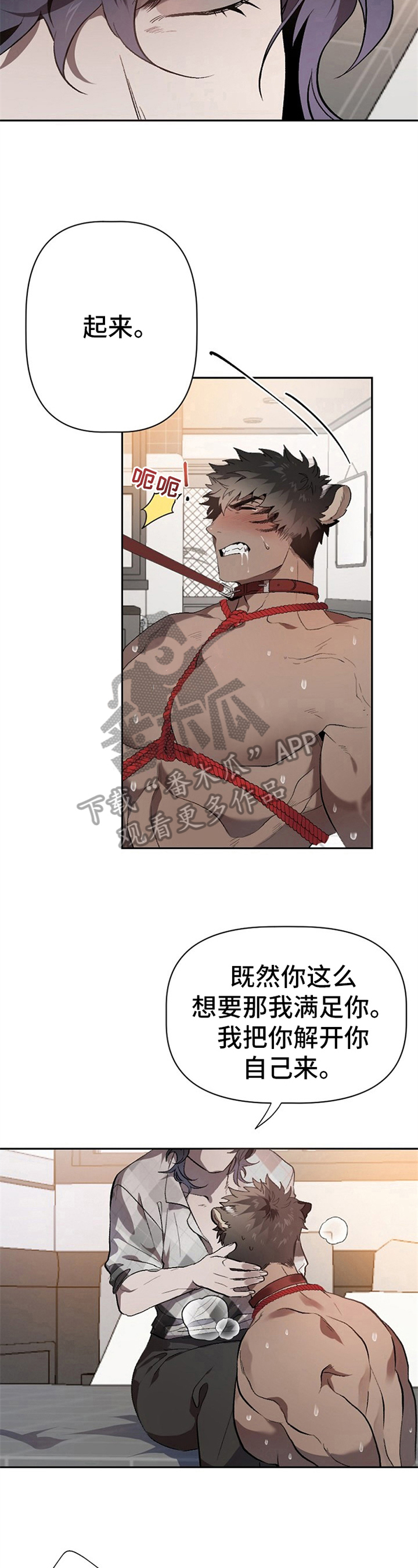 糟糕的夜吻漫画免费未删减在线观看漫画,第14章：草食动物的逆袭：逗玩5图