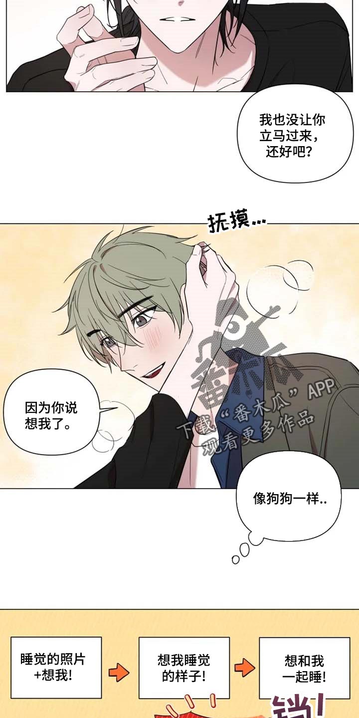 小小恋歌高桥李依漫画,第61章：像狗狗一样3图