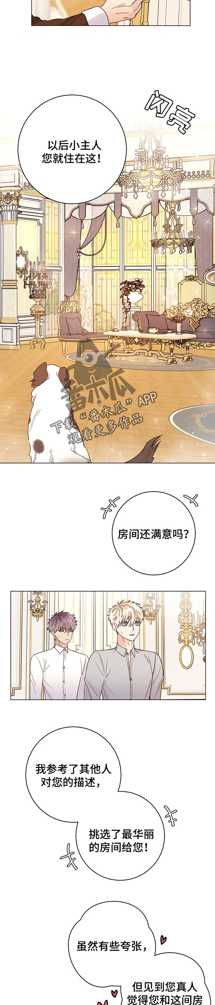 主人的宠物非麻瓜漫画,第66章：值得吗2图