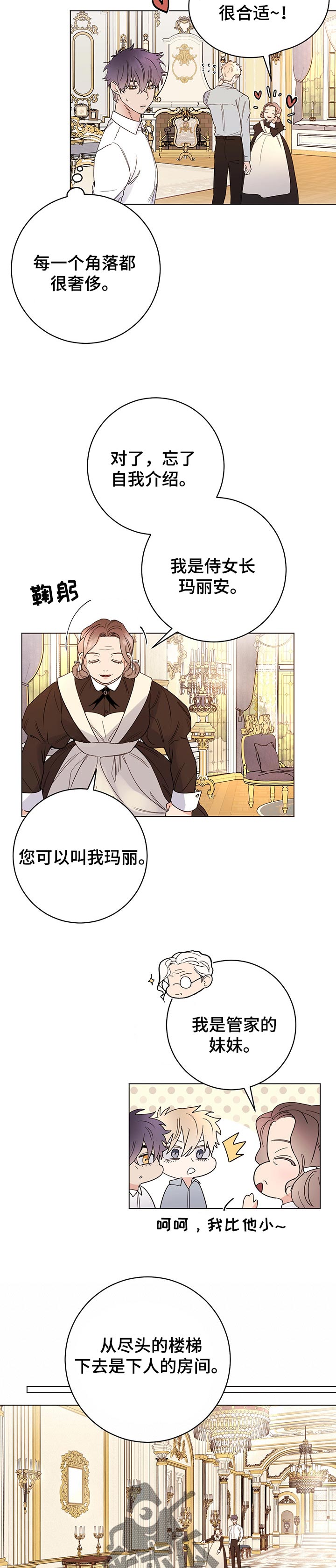 主人的宠物非麻瓜漫画,第66章：值得吗3图