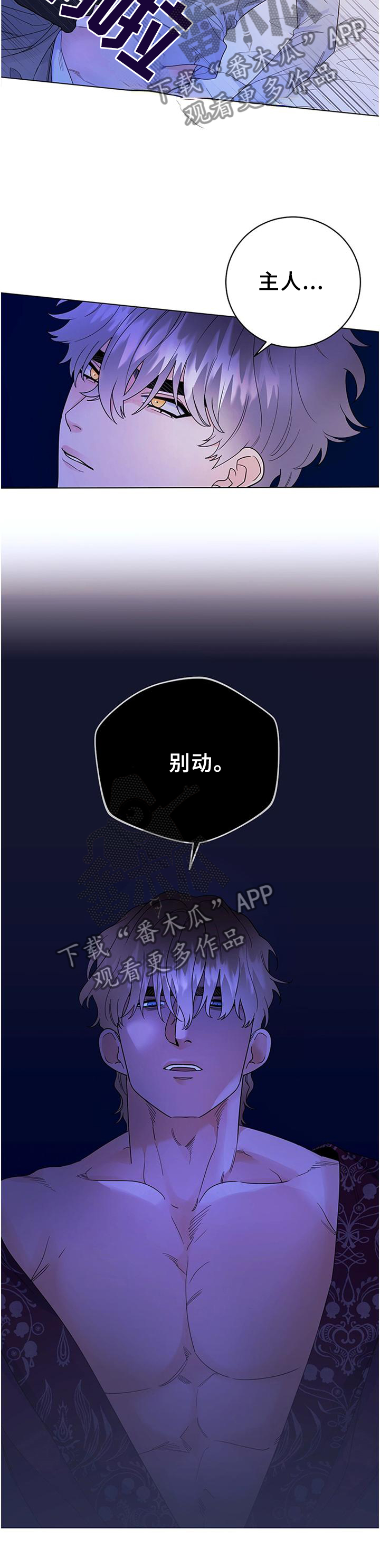 主人的宠物动漫漫画,第33章：归来4图