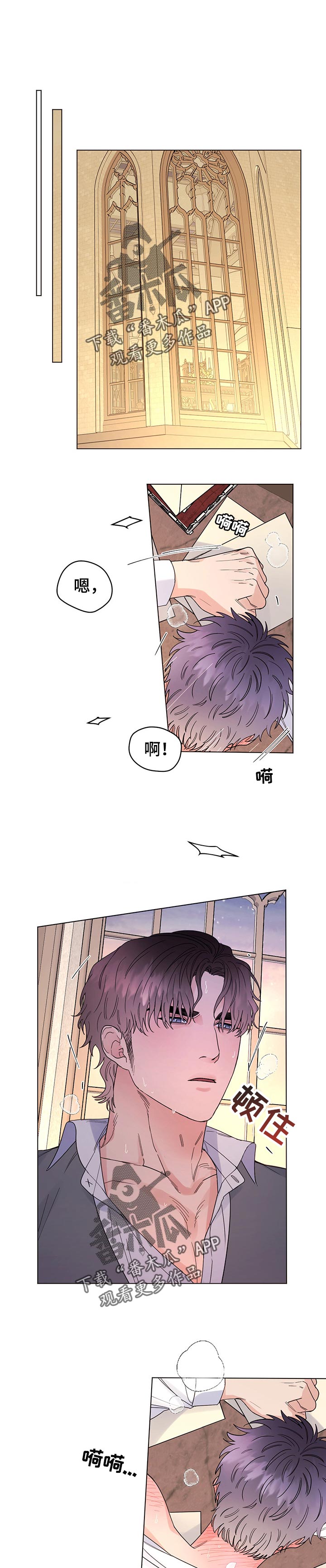 主人的宠物非麻瓜漫画,第69章：我的决定（第一季完结）1图