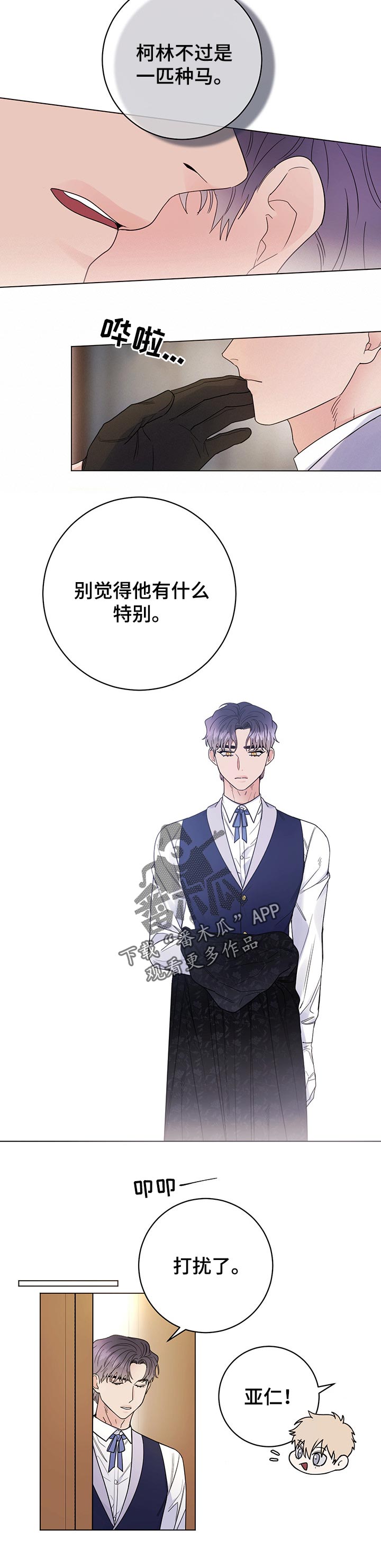 主人的宠物非麻瓜漫画,第52章：特别4图