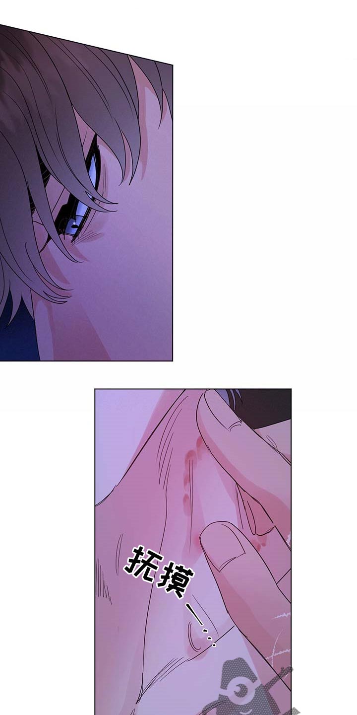 主人的宠物非麻瓜漫画,第85章：【第二季】重要的日子1图