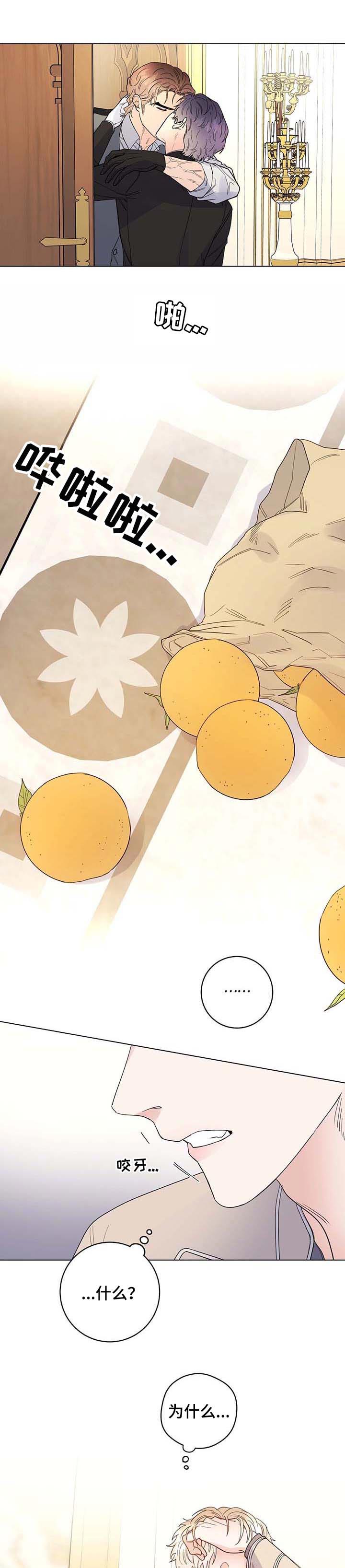 主人的宠物有哪些漫画,第71章：【第二季】汇报4图