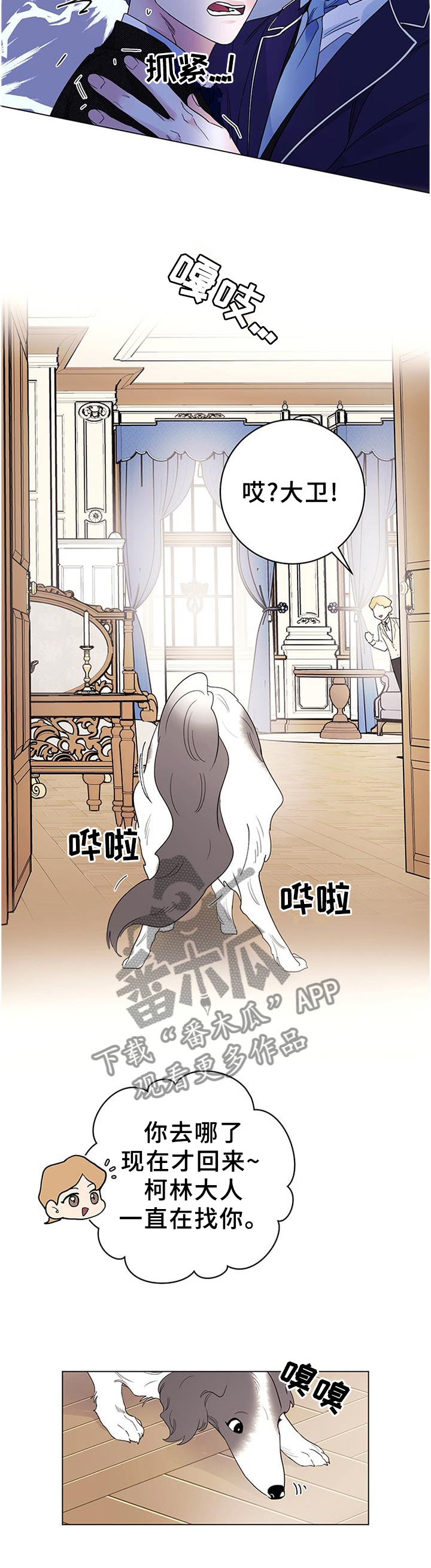 主人的乖乖小母狗全文漫画未删减漫画,第36章：灵性的狗狗5图