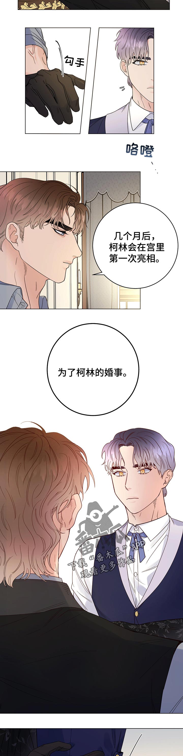 主人的宠物非麻瓜漫画,第52章：特别2图