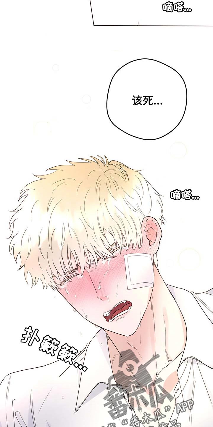 主人的英文是什么漫画,第99章：【第二季】我相信你们3图