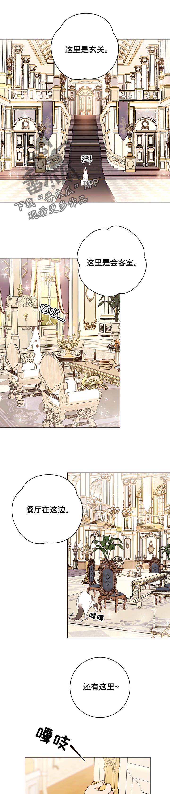 主人的宠物非麻瓜漫画,第66章：值得吗1图