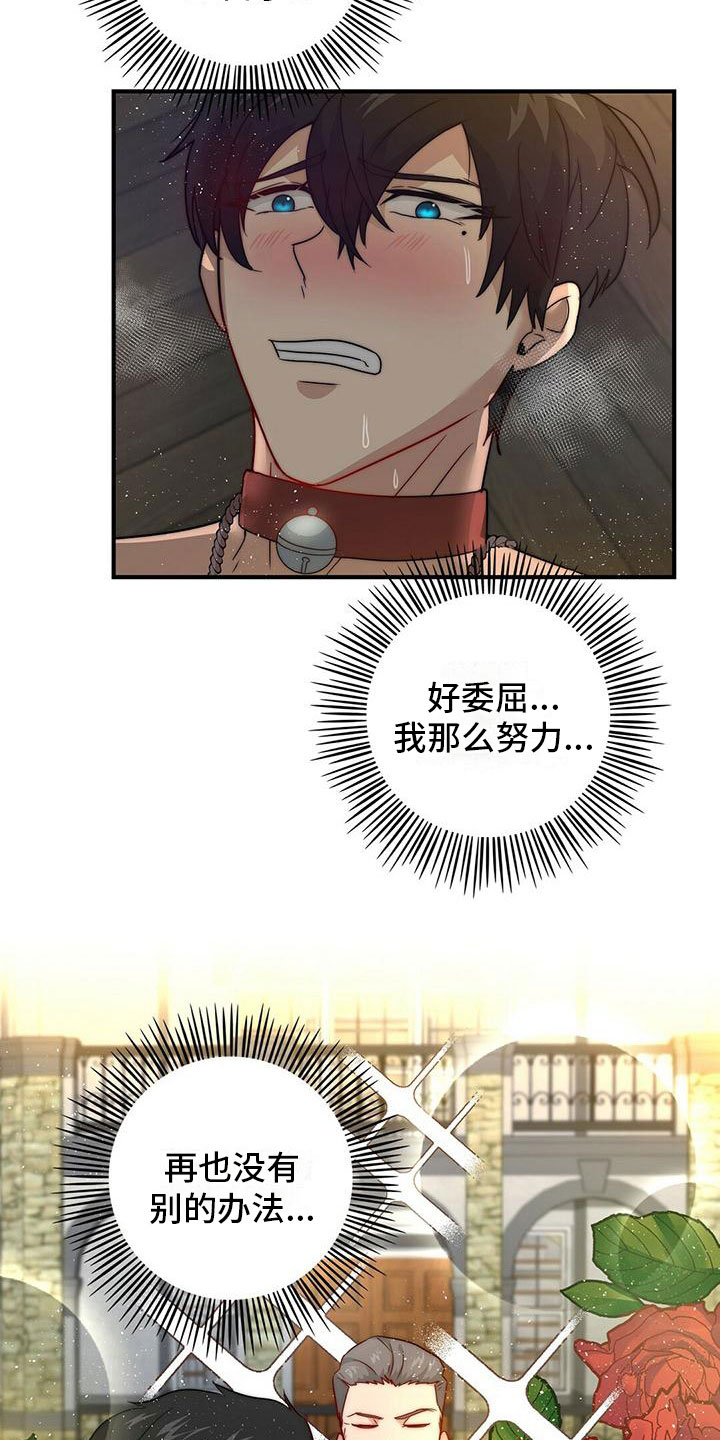 少年回头望笑我还不快跟上什么歌漫画,第11章：精灵2图