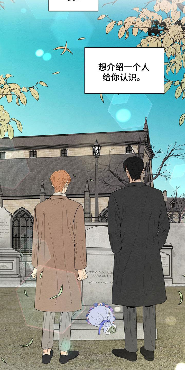 丹尼尔与黑帮结局是什么漫画,第149章：【番外】墓园5图