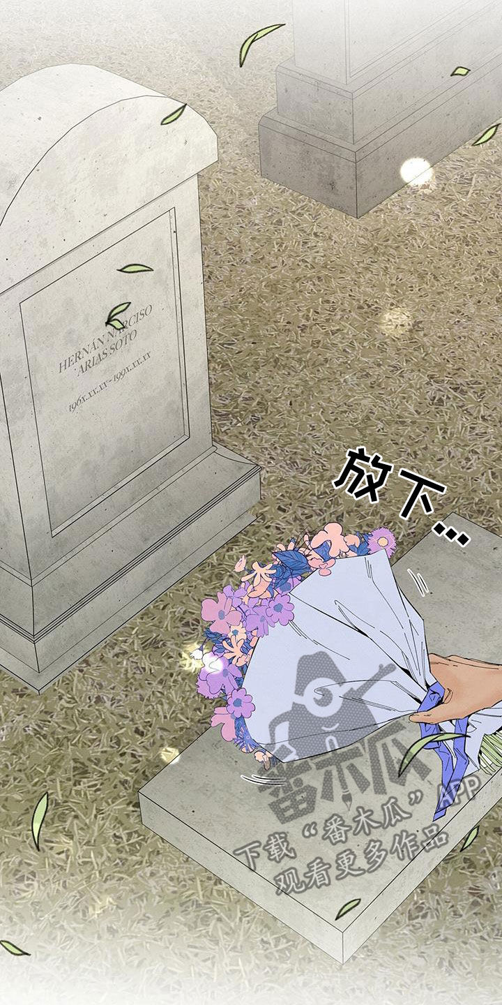 丹尼尔与黑帮结局是什么漫画,第149章：【番外】墓园3图