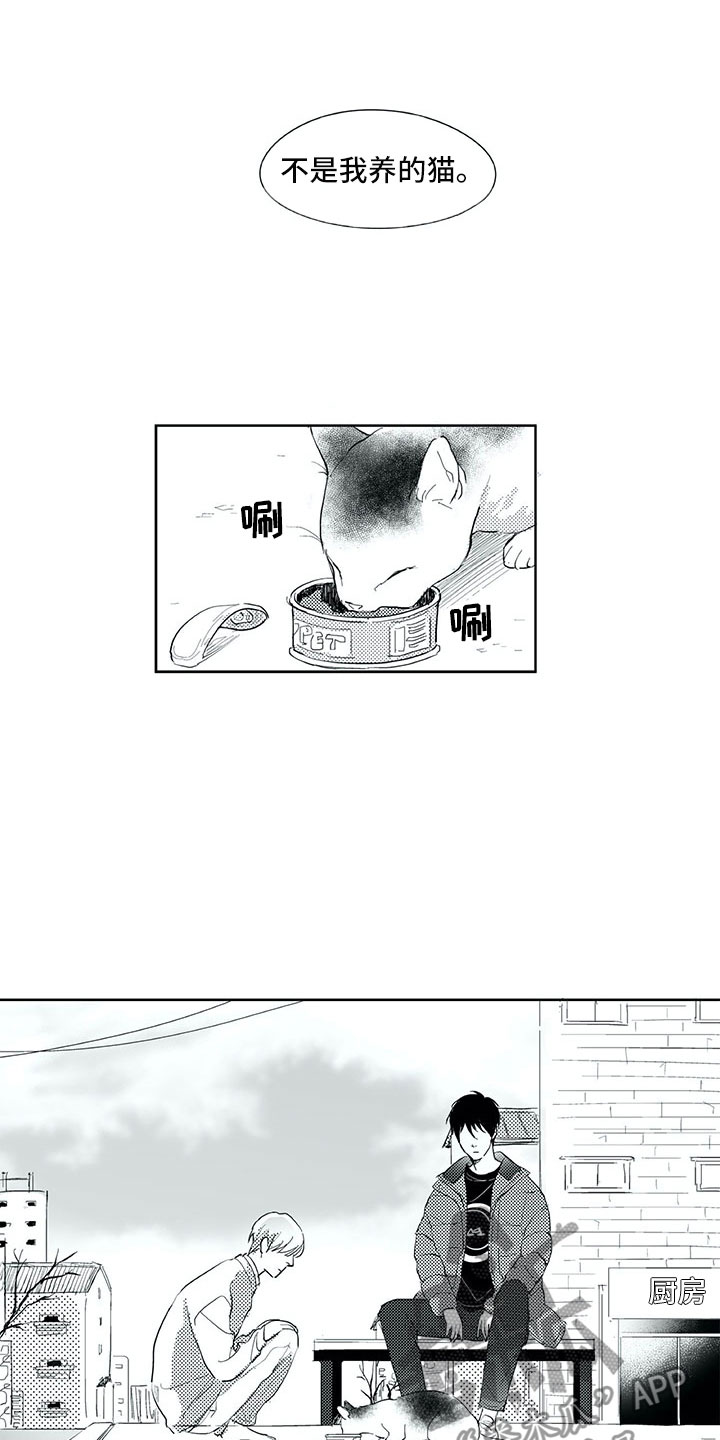49日相爱漫画,第19章：心乱2图