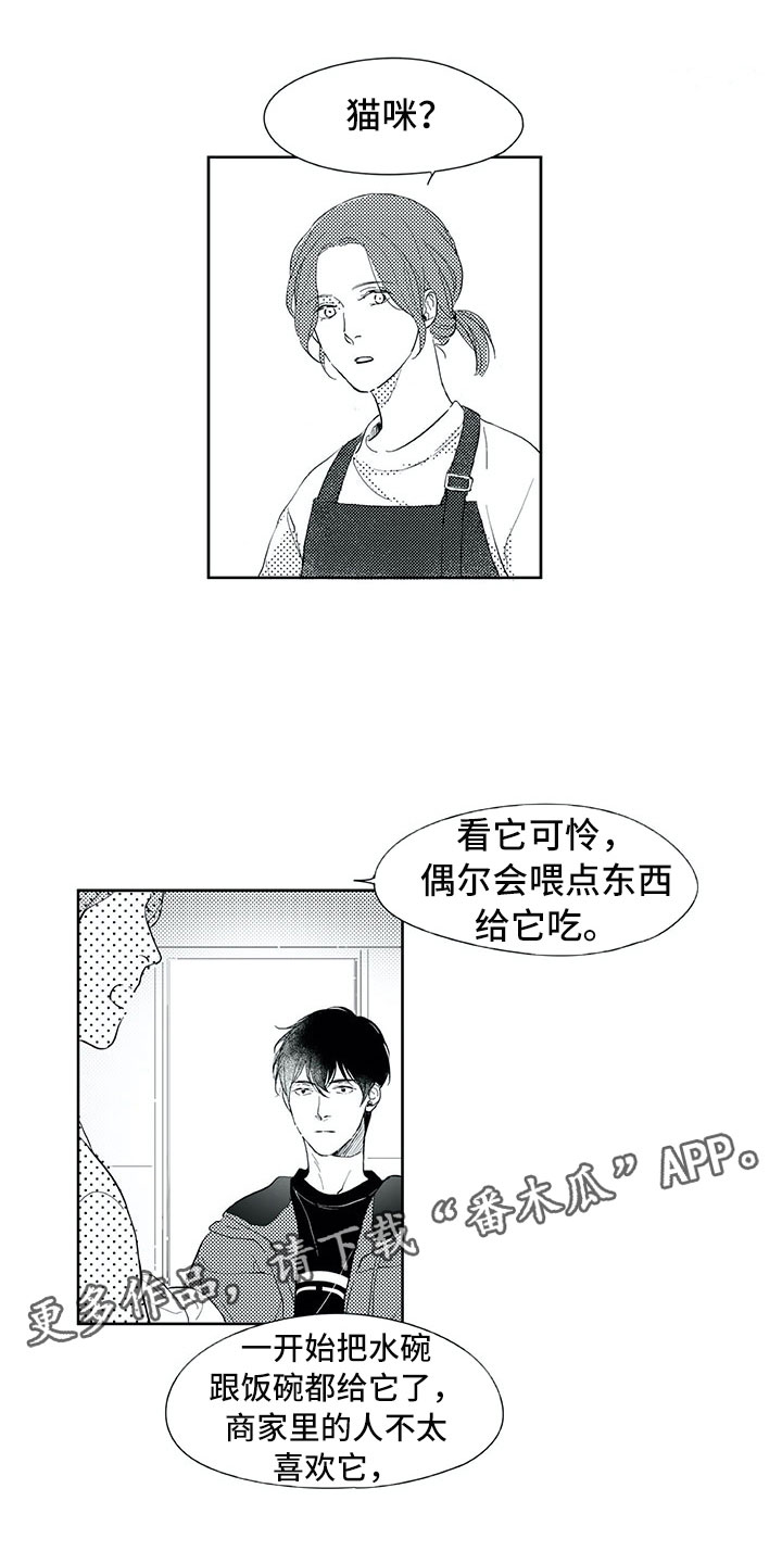 49日相爱漫画,第19章：心乱1图