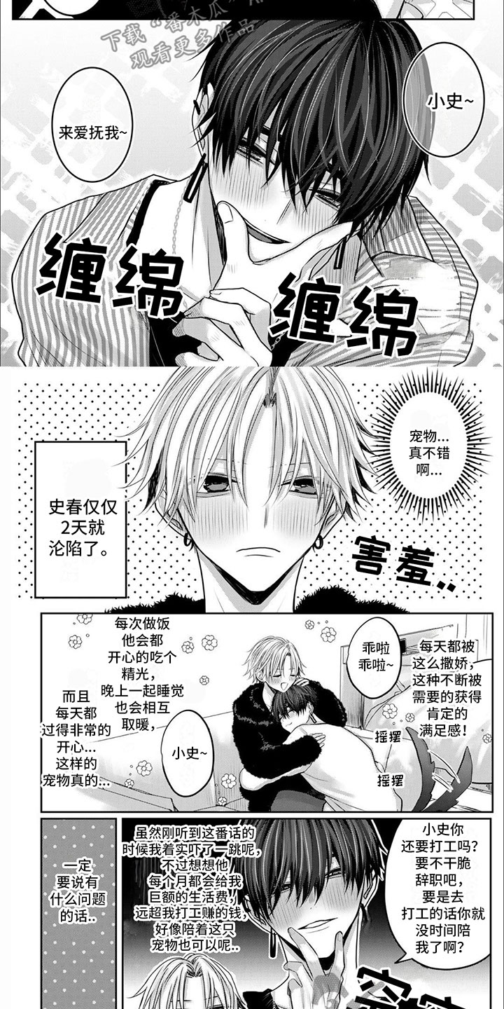 第5章：早点回来4