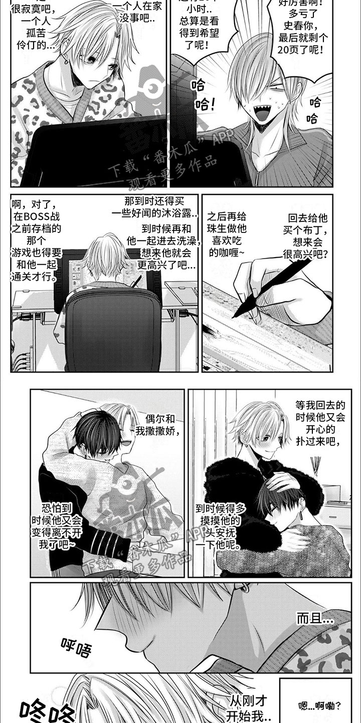 第11章：逃跑的小狗3