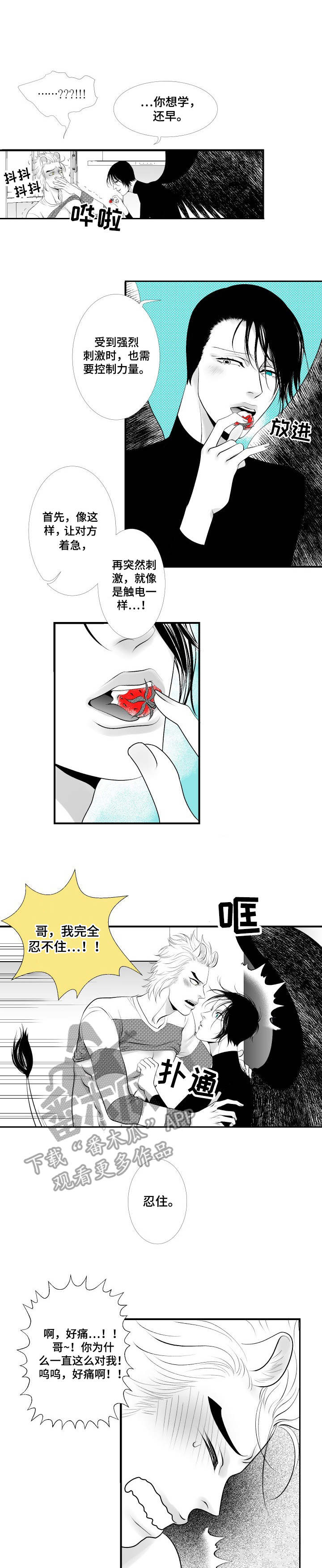 死路电影解析漫画,第12章：酒心巧克力1图