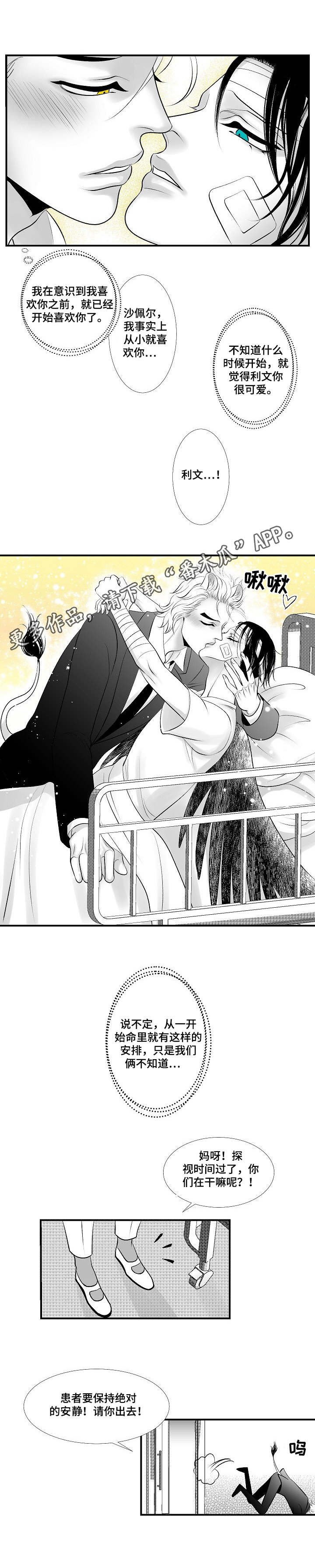 死路是什么意思漫画,第27章：尘埃落定5图