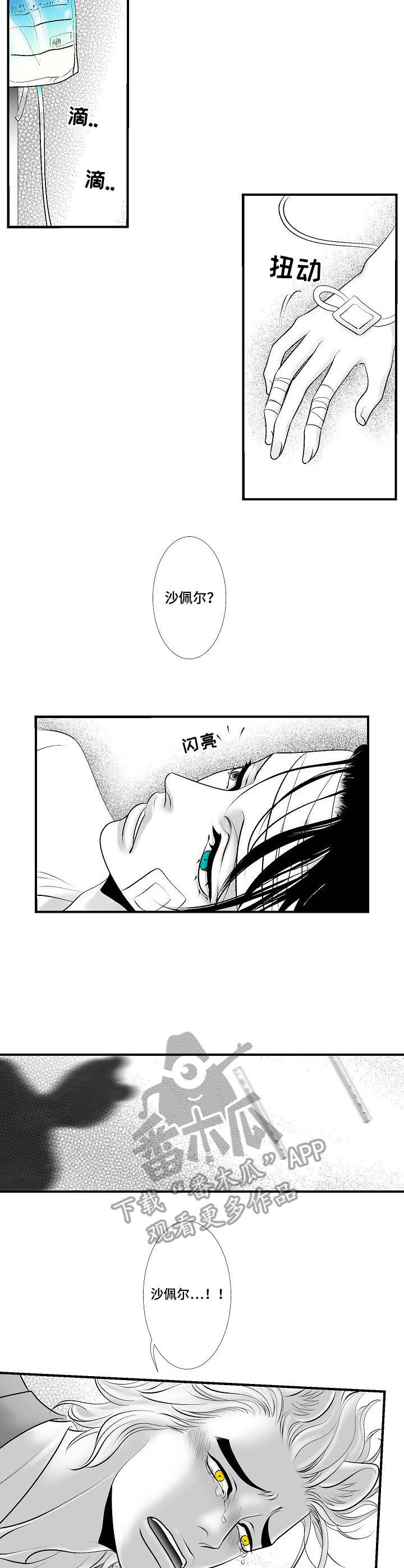 死路是什么意思漫画,第27章：尘埃落定3图
