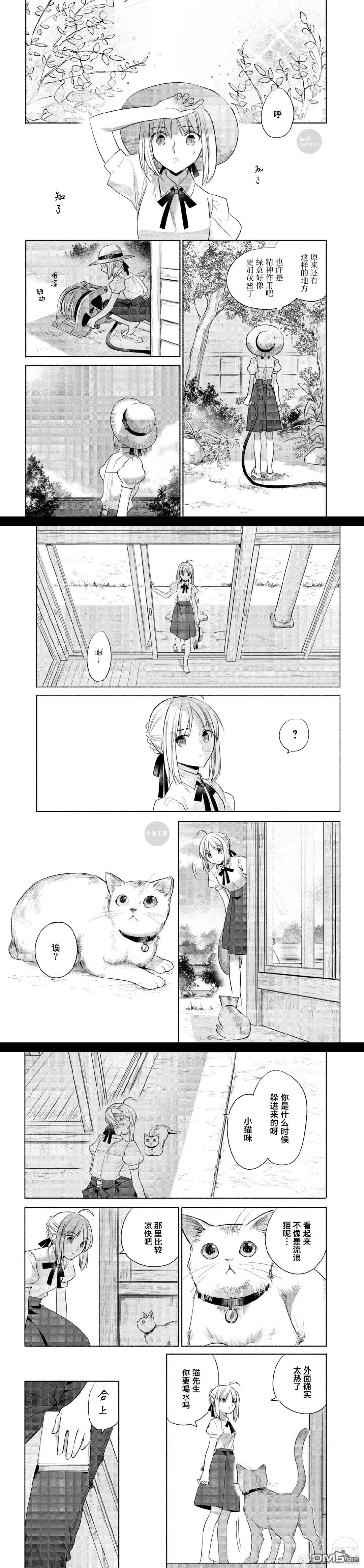 卫宫家今天的饭游戏漫画,025 撕下来，放上去，简便的沙拉盖饭3图