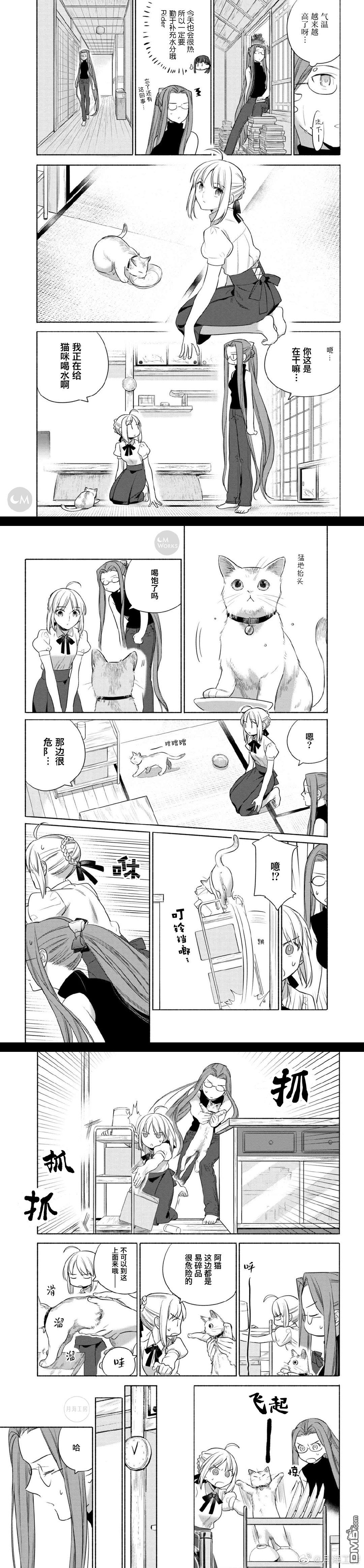 卫宫家今天的饭游戏漫画,025 撕下来，放上去，简便的沙拉盖饭4图