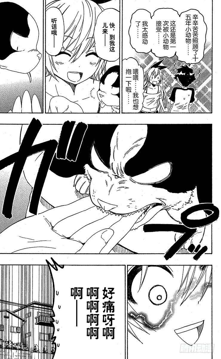 伪恋漫画全集免费漫画,第41话 流浪狗5图