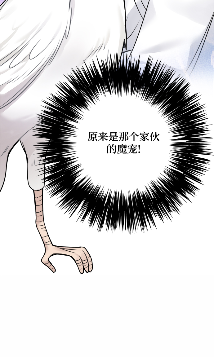 魔女和龙的新婚日记英文版漫画,第56话2图