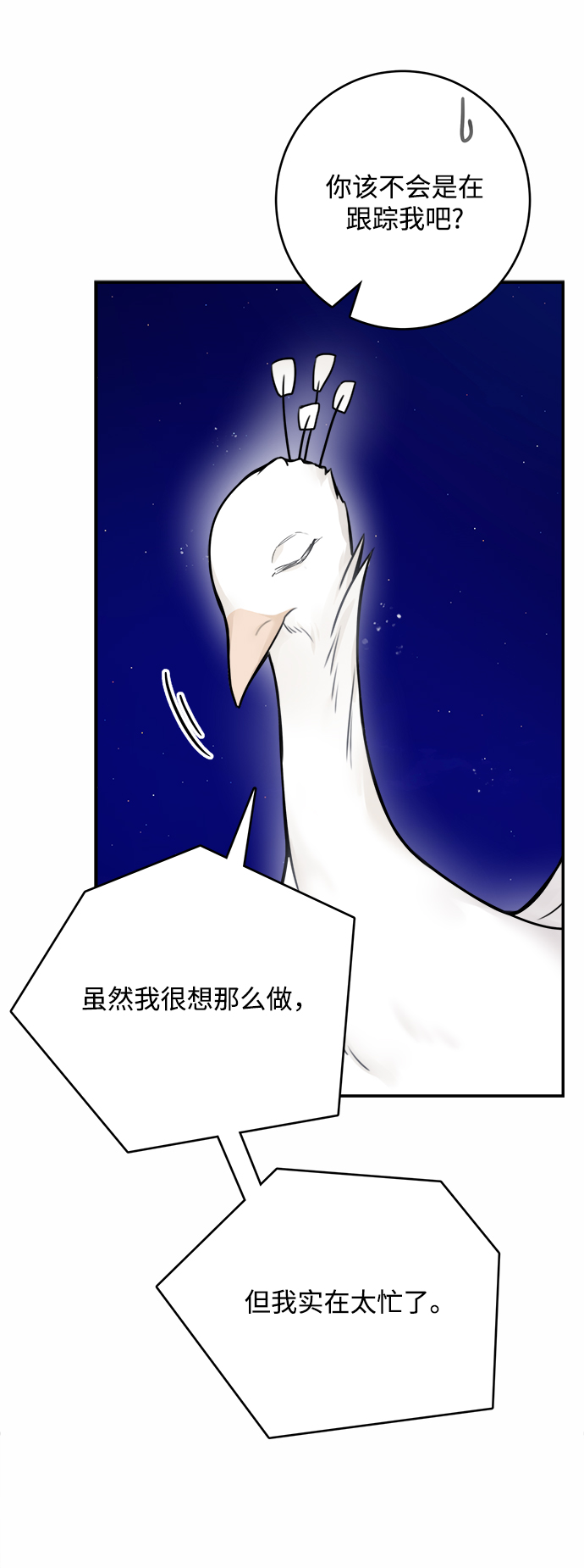 魔女和龙的新婚日记英文版漫画,第56话5图